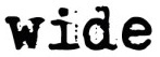 Wide Logo